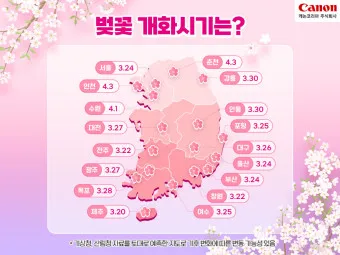 개나리 개화시기 2025 서울 경기 강원 전남 경북 제주_3