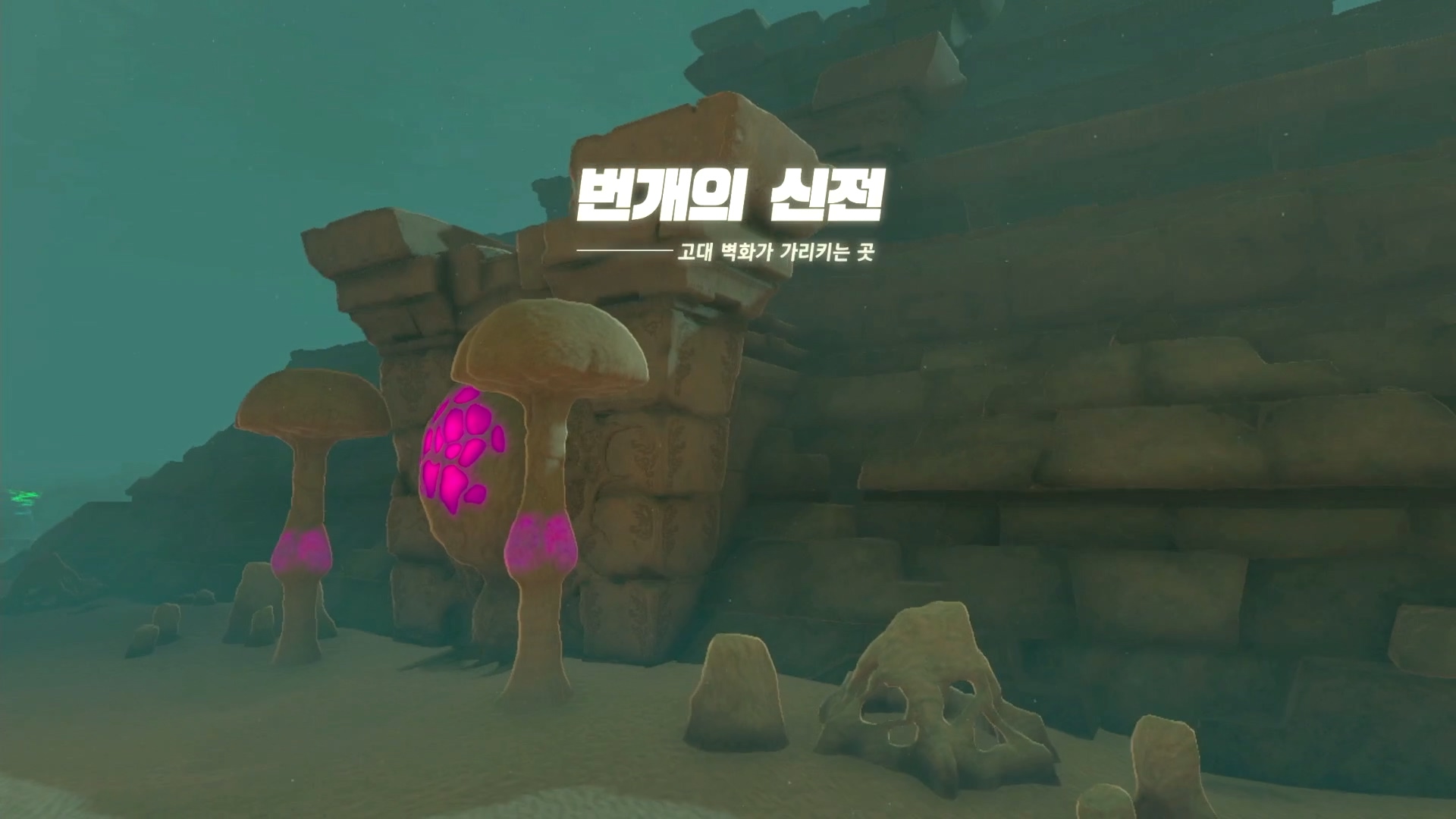  [젤다의 전설 티어스 오브 더 킹덤] 번개의 신전