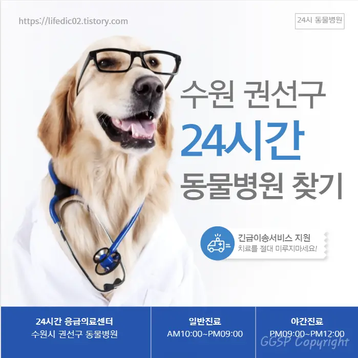  권선구 24시간 동물병원 근처 야간 일요일 강아지 병원 찾기