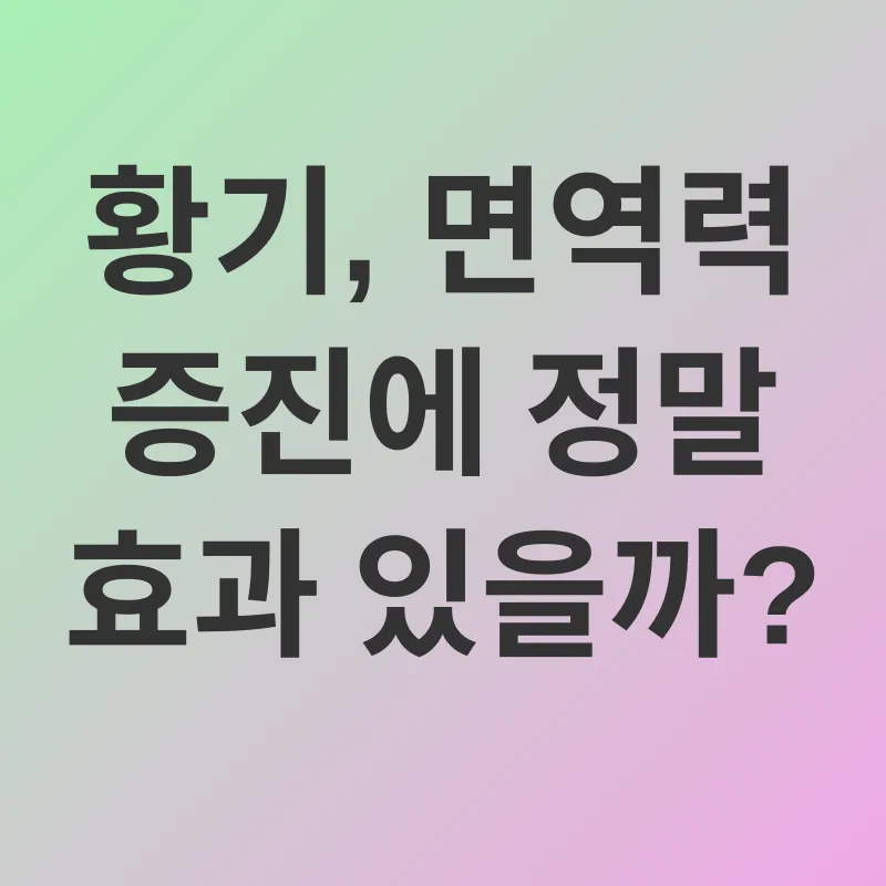 황기 효능_1