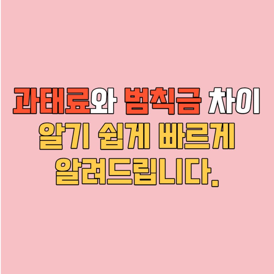 과태료와 범칙금 차이 썸네일 사진