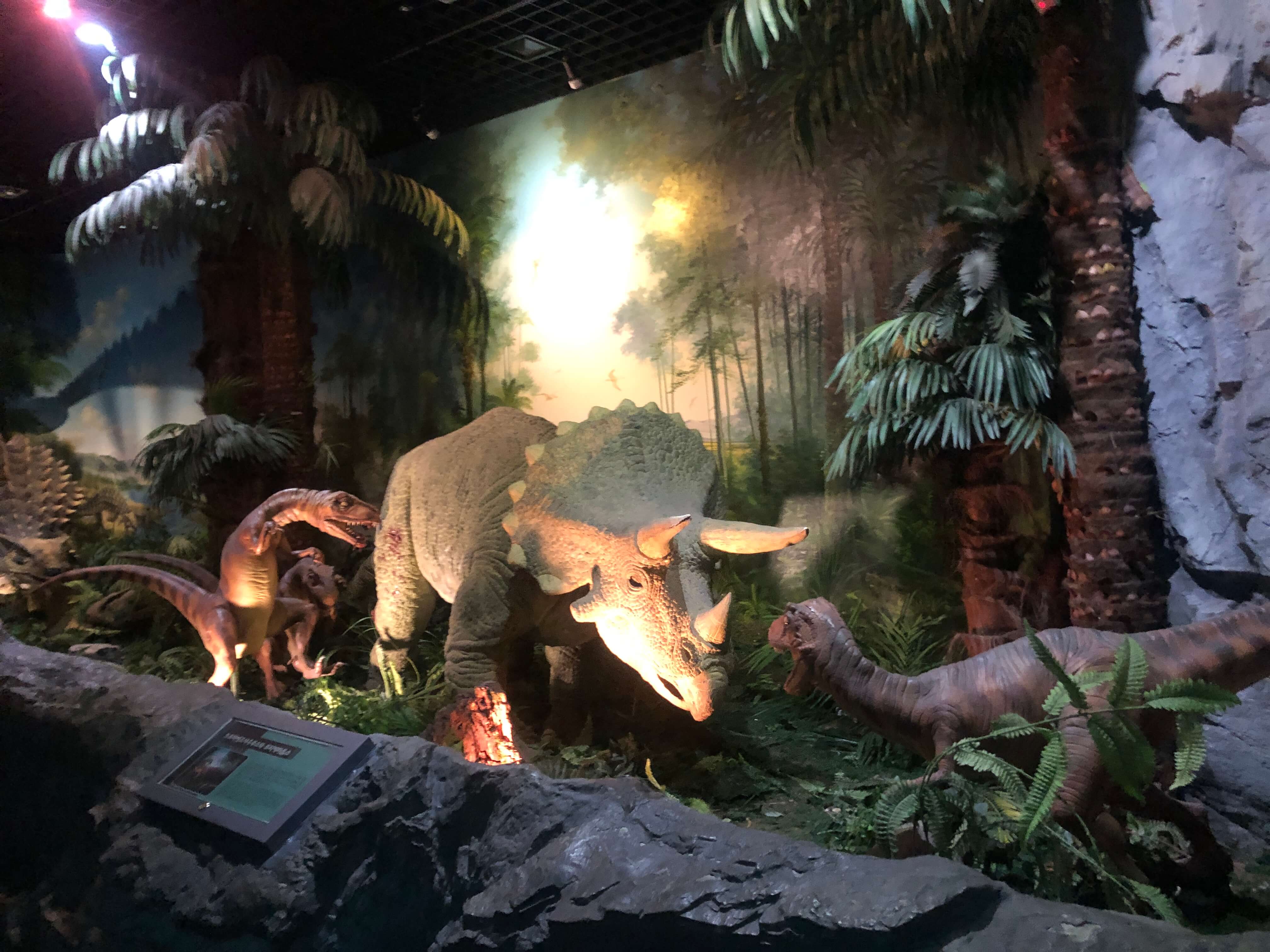 민수랜드-고성공룡박물관 움직이는 공룡