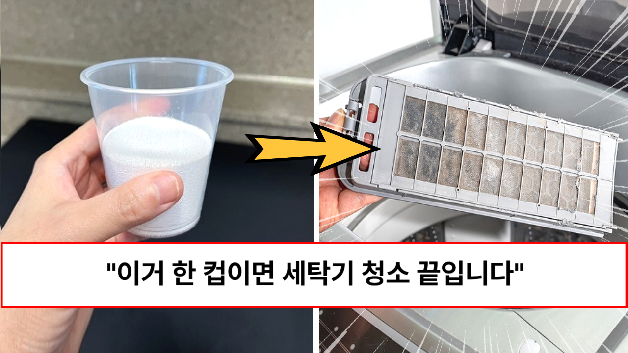 “이것 한 컵만 넣으면 됩니다” 세탁소 사장님끼리만 공유하는 정보라는 세탁기 청소하는 방법 “이것 한 컵만 넣으면 됩니다” 세탁소 사장님끼리만 공유하는 정보라는 세탁기 청소하는 방법