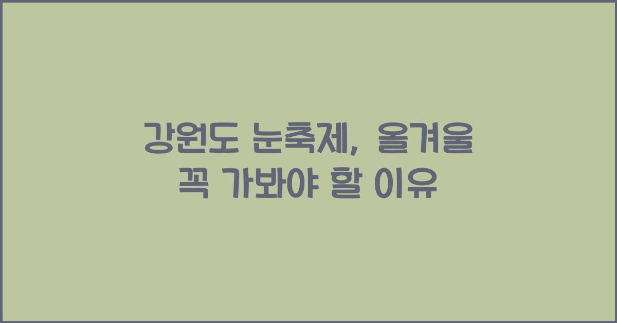 강원도 눈축제
