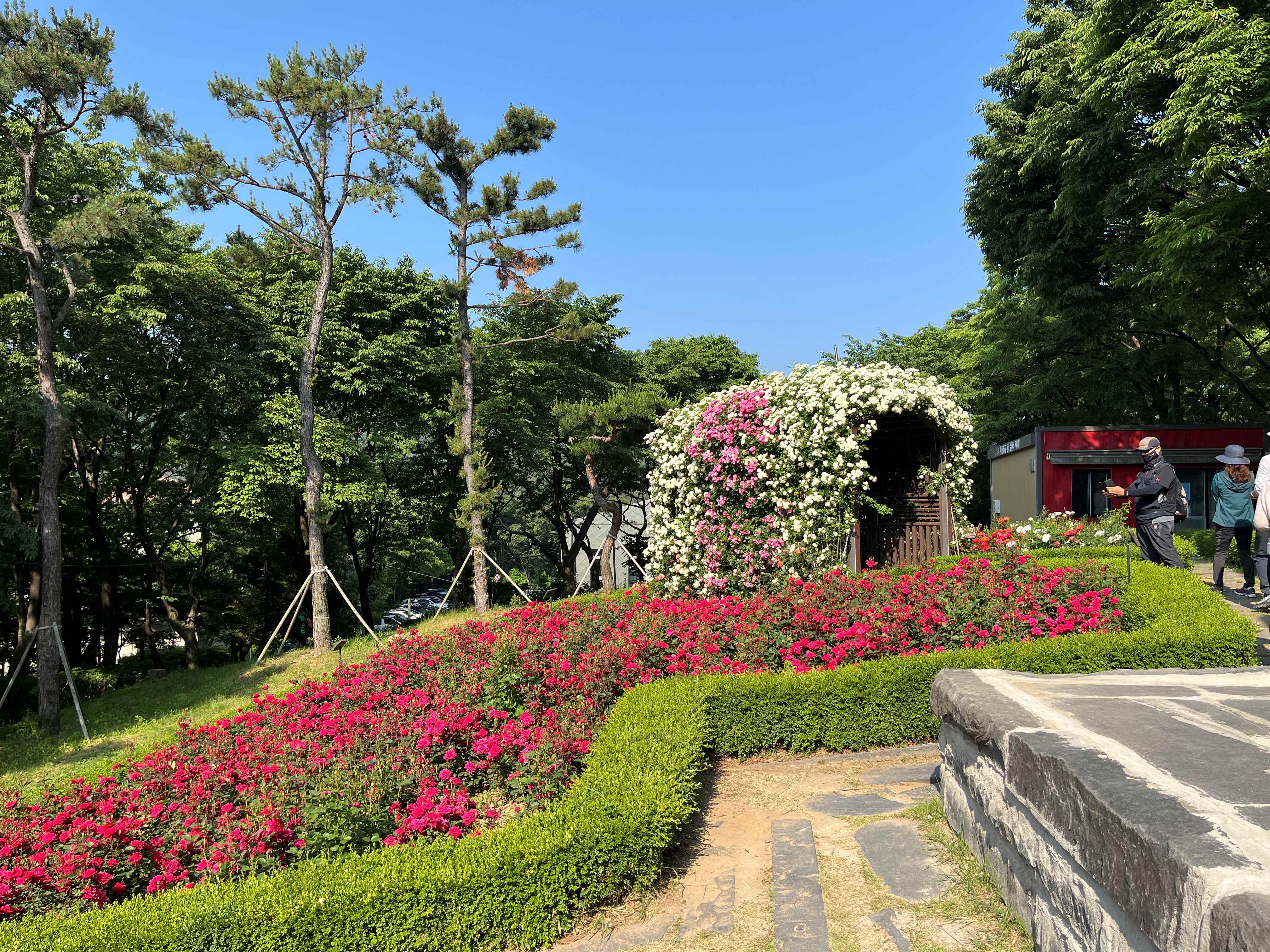 장미원 이미지