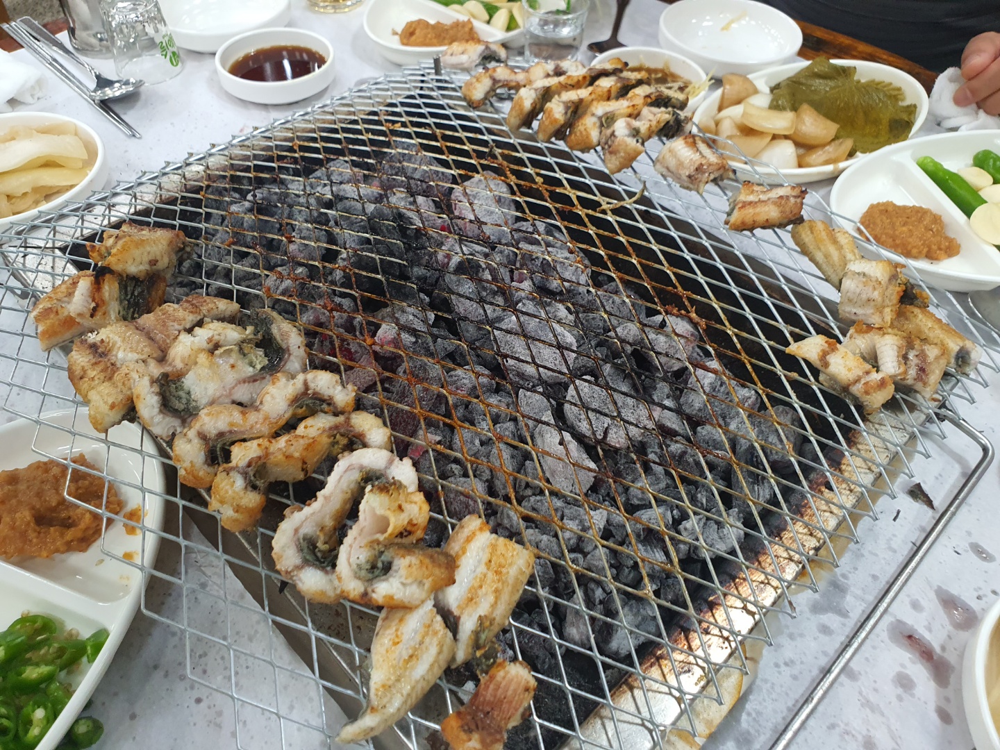 영산강민물장어 이미지