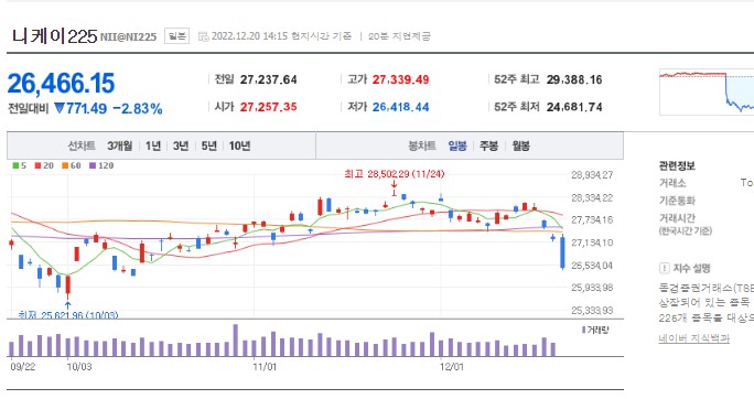 일본 주가 급락 그래프