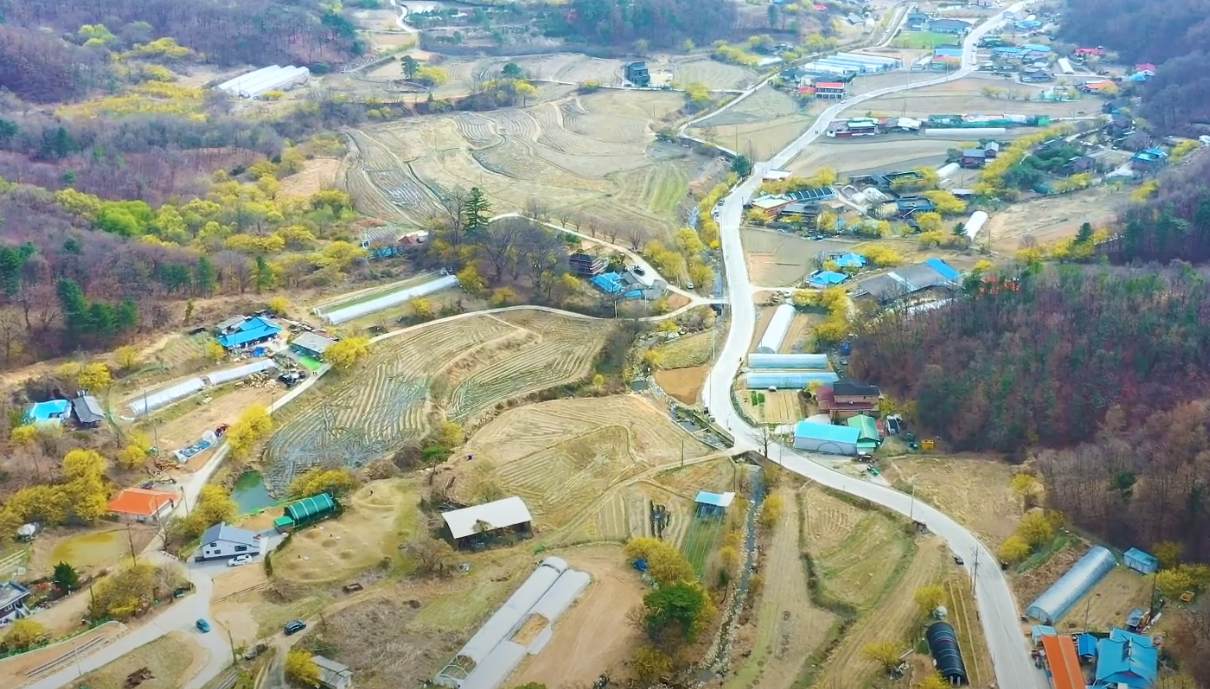 주읍리 산수유마을