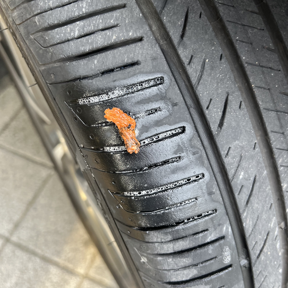 타이어-지렁이