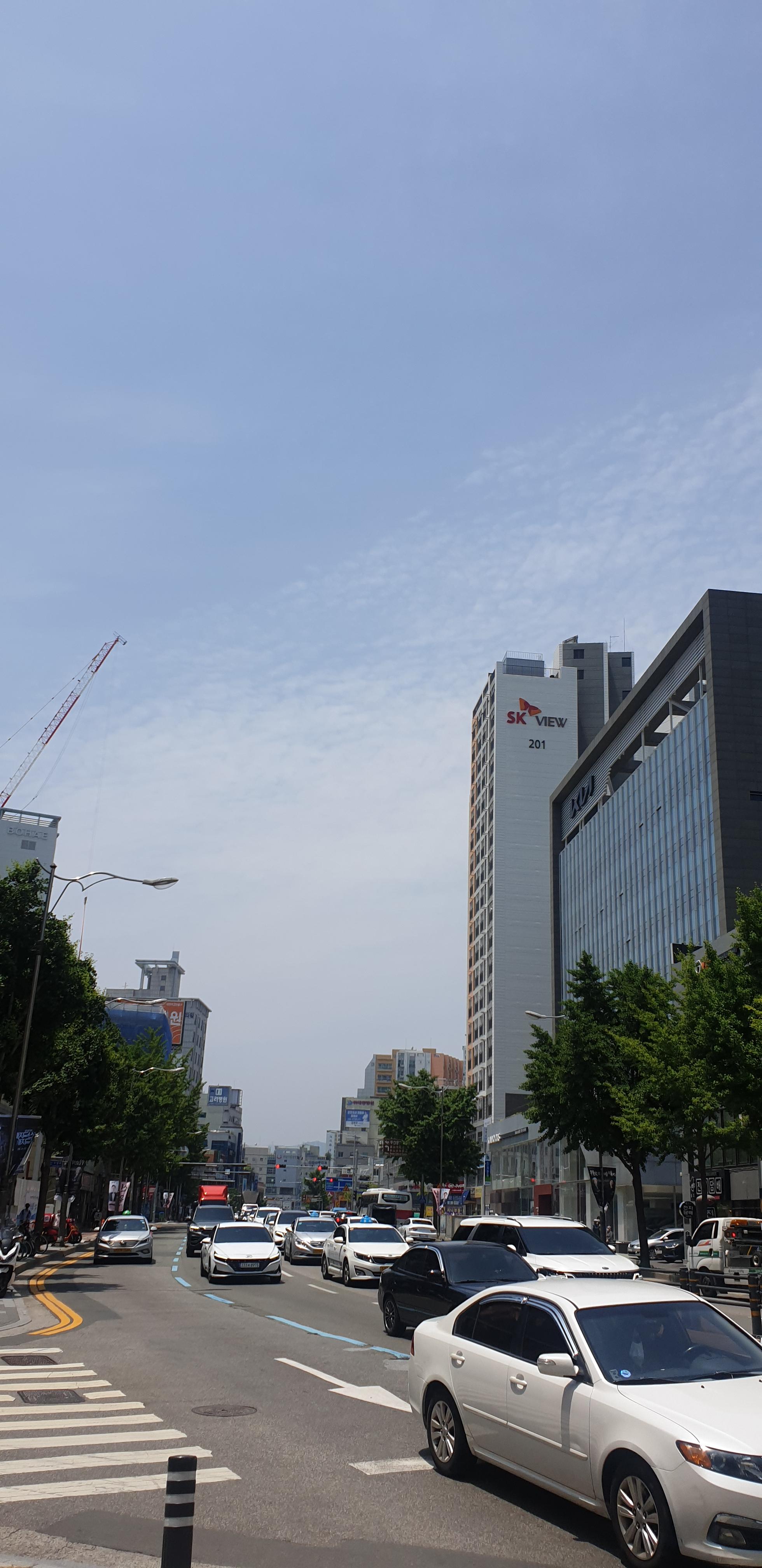  2021년 6월5일 부산날씨 /서울날씨 / 오늘부산날씨 / 오늘맑음 / 오늘부산날씨 / 부산황사 /내일부산날씨/서울내일날씨/전국황사/오늘황사