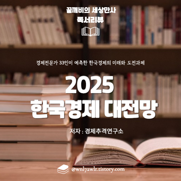 2025 한국경제 대전망 : 경제전문가 33인이 예측한 한국경제의 미래와 도전과제