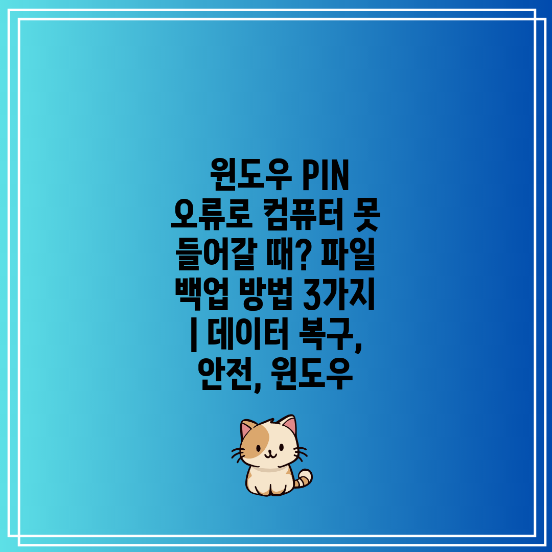  윈도우 PIN 오류로 컴퓨터 못 들어갈 때 파일 백업