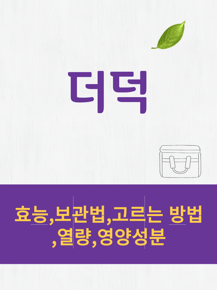  더덕 효능 및 열량과 보관법 칼로리 총정리 