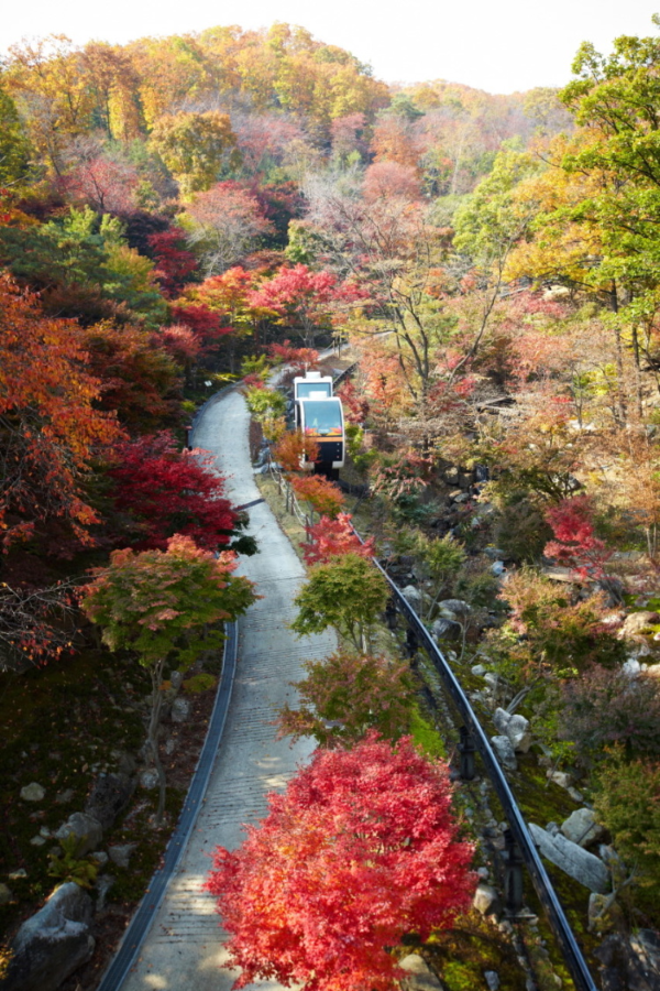  경기도 단풍 여행/2022년 단풍 시기와 경기도 단풍 명소