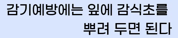  (5) 감기예방에는 잎에 감식초를 뿌려 두면 된다.