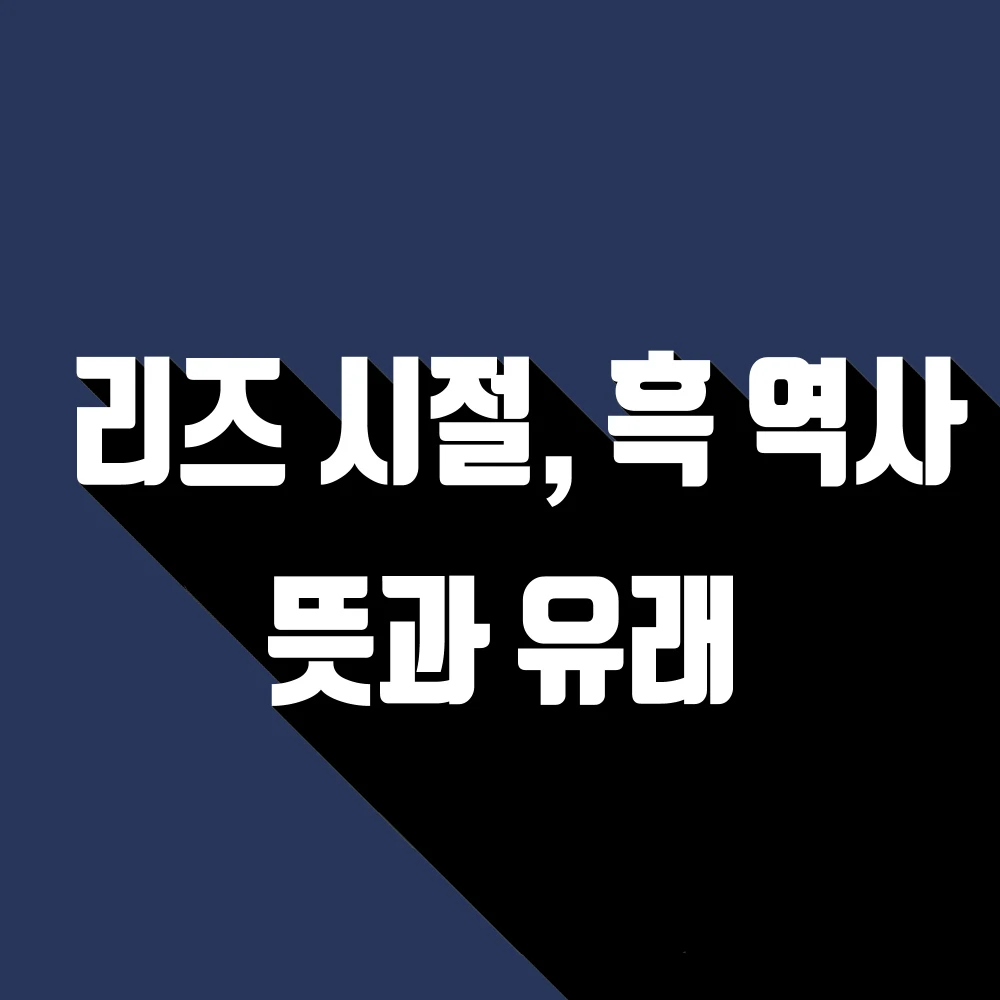  리즈 시절 뜻, 흑역사 뜻 신조어에서 시작해 자리잡은 단어 1탄