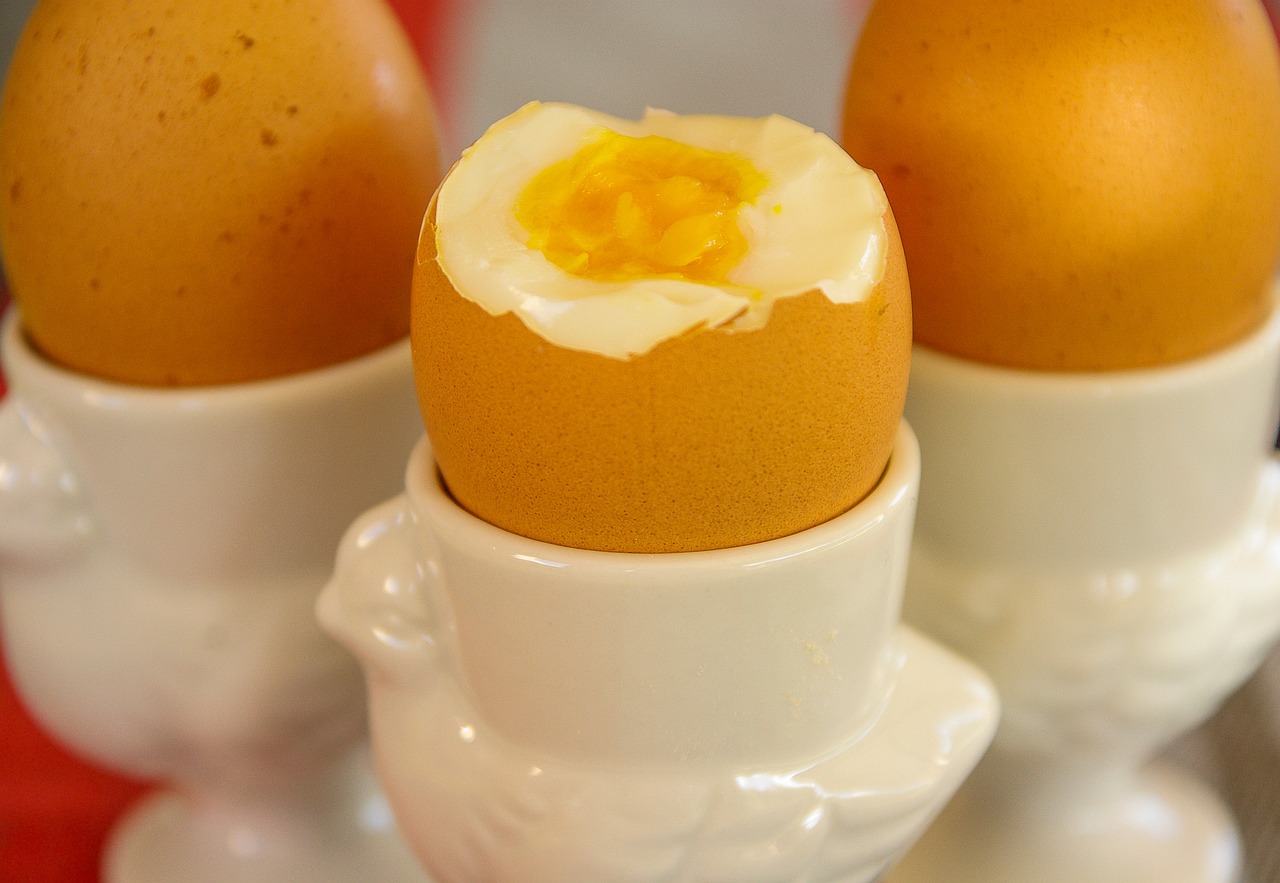 삶은달걀
계란