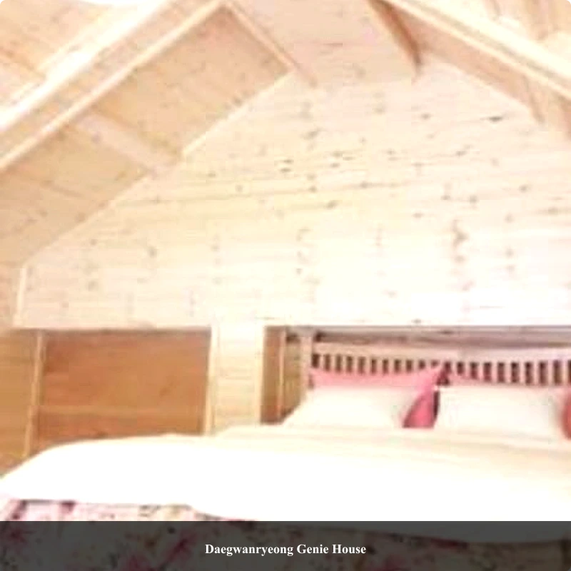 Daegwanryeong Genie House_4