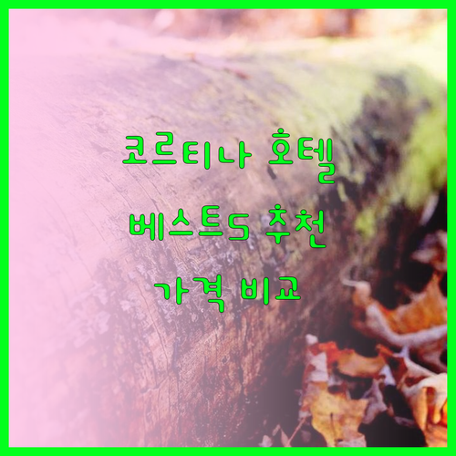 코르티나 담페초 호텔 추천 베스트 5