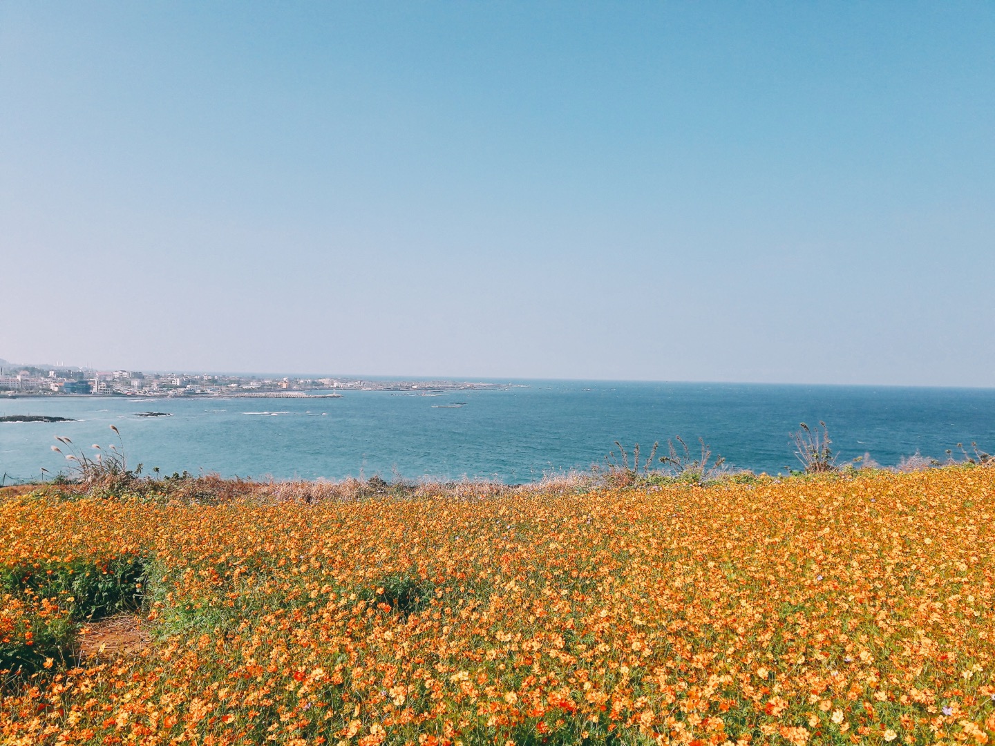  삼양해수욕장 서핑, 함덕 서우봉 해변 볼거리 추천