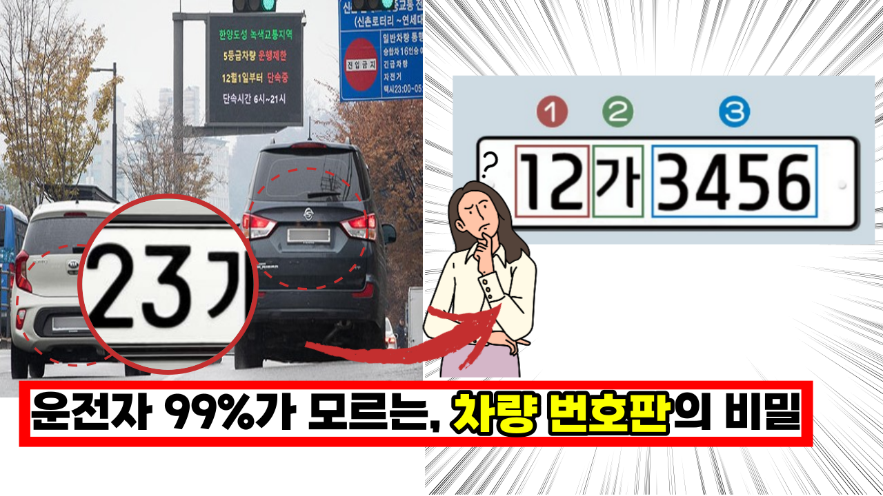  국민 99% 모르는 차량 번호판의 비밀 이건 꼭 알아두세요.