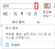 셀 표시형식