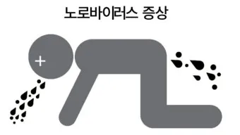 노로바이러스 증상 빠르게 대처하는 방법_11