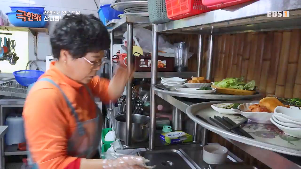 TV - 전 국민의 평생학교 EBS자연에서 얻은 보약, 상황버섯과 산나물, 쌍화차.mp4_20240615_172250.772.jpg