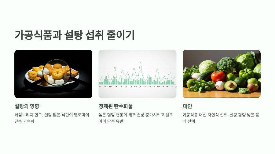 가공식품과 설탕 섭취 줄이기