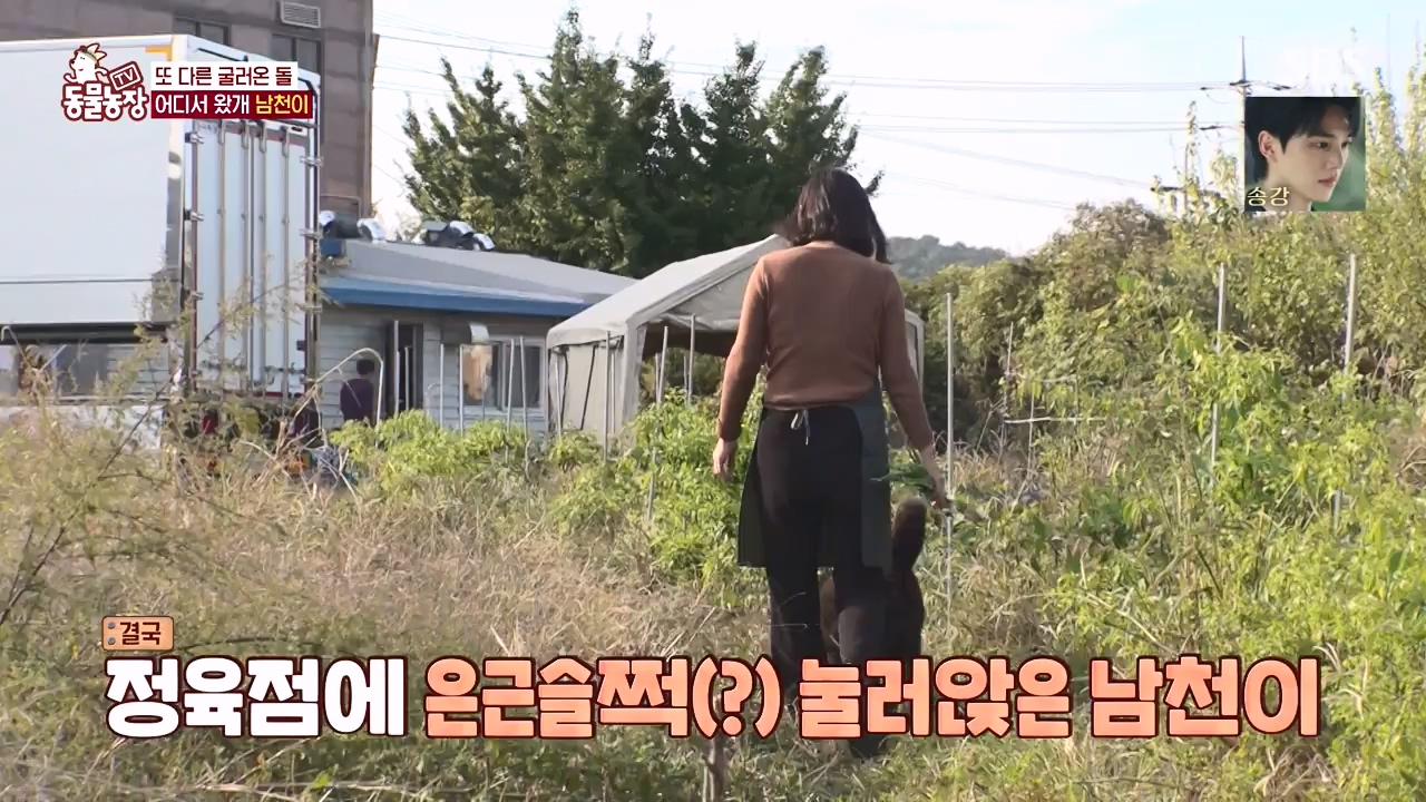 TV 동물농장.E1146.231120p-NEXT.mp4_20231119_175240.482.jpg