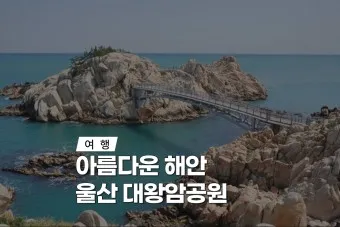 울산 가볼만한곳 베스트10 현지인 추천 필수코스_10