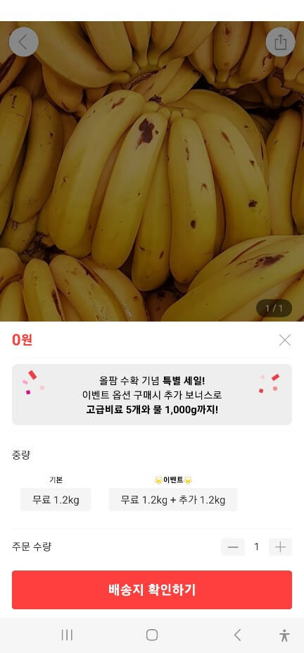 올웨이즈 올팜 첫 수확 바나나 무료 배송후기