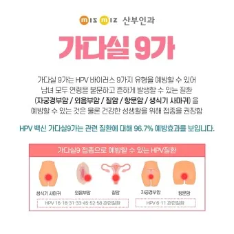 가다실 9가 접종 간격 나이 가격 효과_4