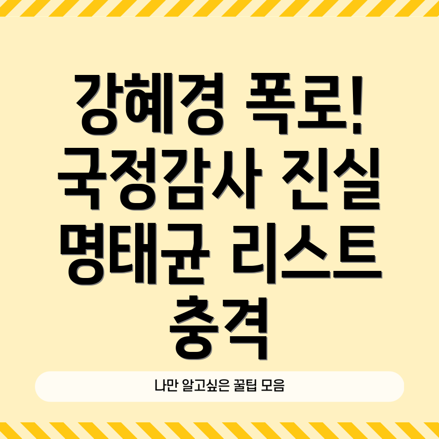 국정감사