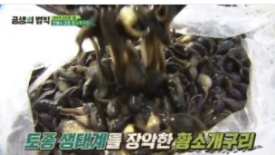 공생의 법칙2 재방송 다시보기 · 공식영상 보러가기 회차정보 방송시간 시청률 출연진 · 1회 2회 3회 4회 #같은예능 #웨이브 #김병만 #배정남 #박군 #시리즈 #시즌1 #시즌2 공생의 법칙2 재방송 다시보기 · 공식영상 보러가기 회차정보 방송시간 시청률 출연진 · 1회 2회 3회 4회 #같은예능 #웨이브 #김병만 #배정남 #박군 #시리즈 #시즌1 #시즌2