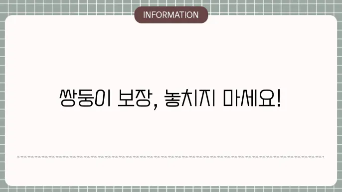 다태아 보험 - 쌍둥이 및 다태아 맞춤 보장 내용