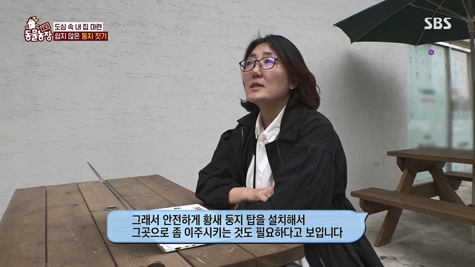 TV 동물농장.E1126.230625p.H264-F1RST.mp4_20230626_204308.005.jpg