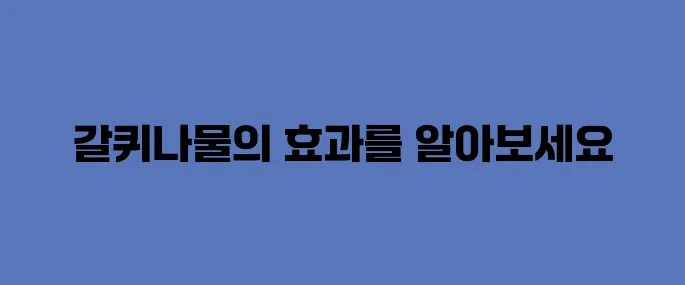 갈퀴나물 효능, 부작용 및 먹는법