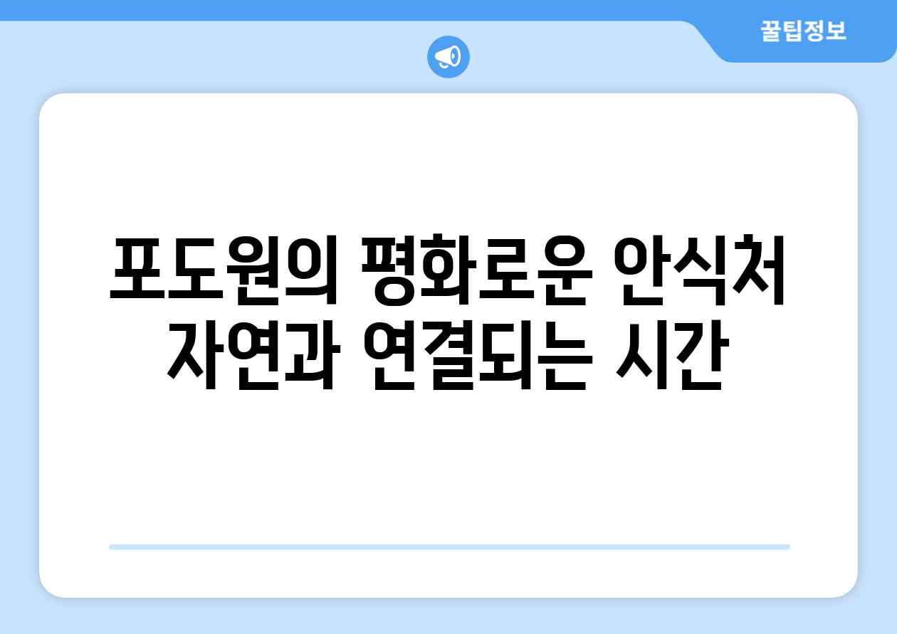 포도원의 평화로운 안식처 자연과 연결되는 시간