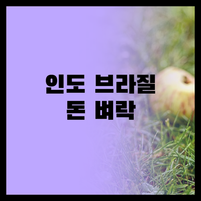 인도 브라질에 돈 벼락 쏟아진다 지금