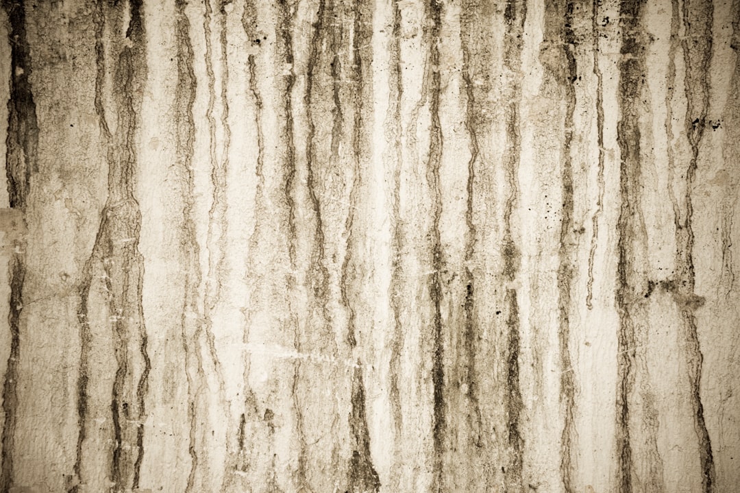 Mold.