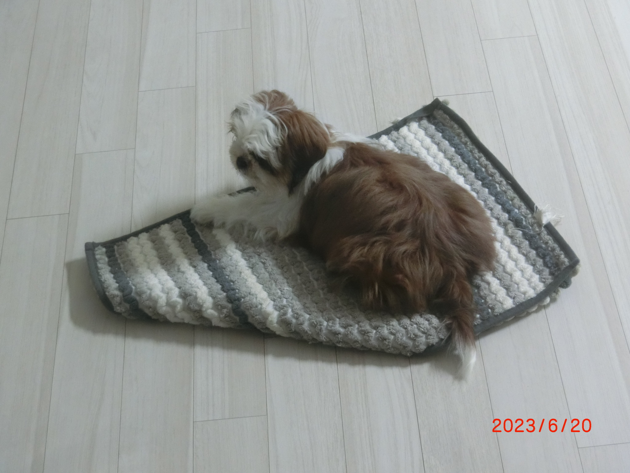 후추집 이미지