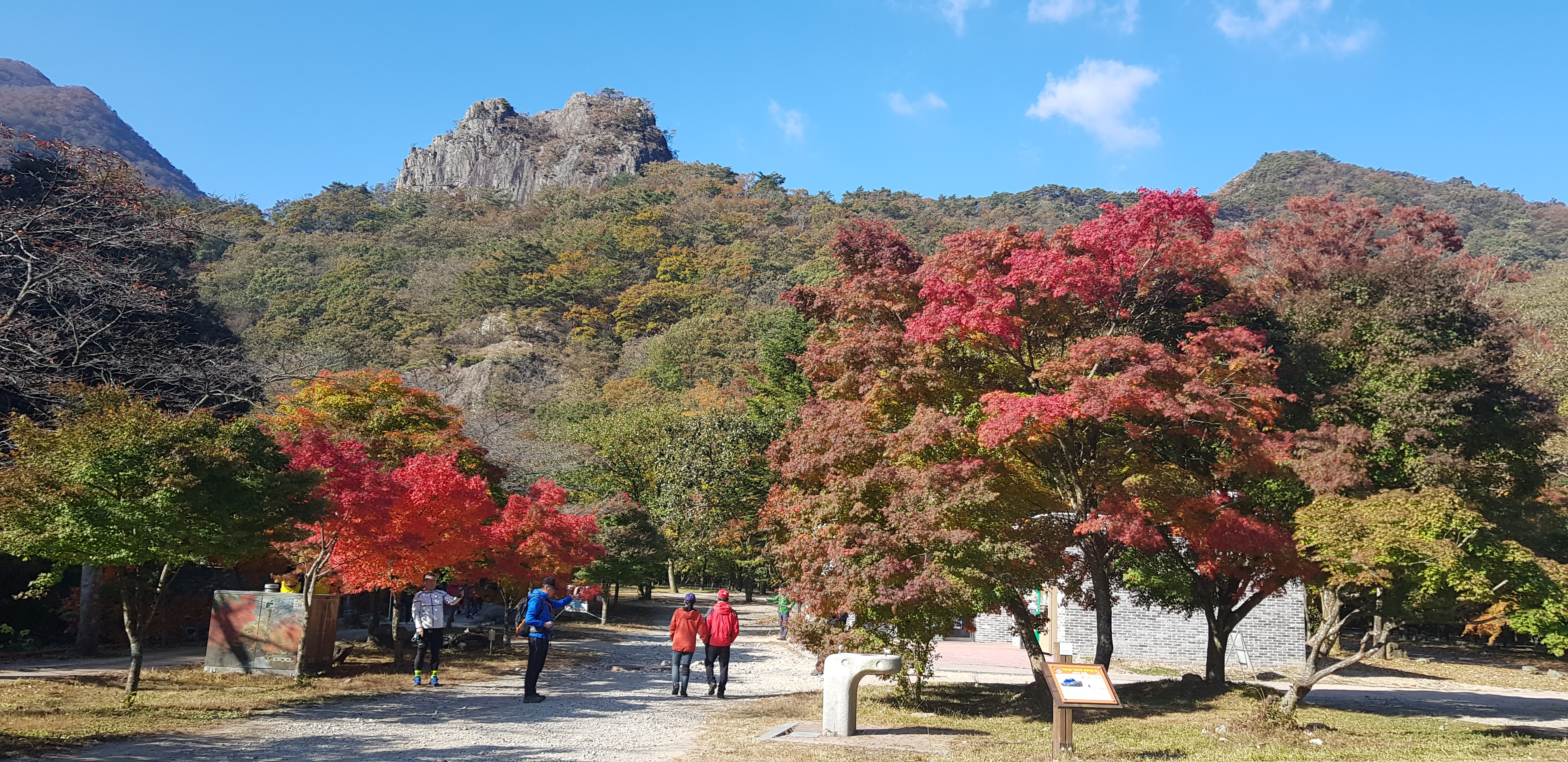  [정읍 내장산 단풍구경 당일치기] 단풍상황, 주차장, 입장료, 셔틀, 날씨, 케이블카