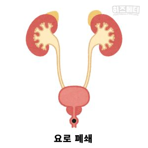 크레아티닌 수치가 높으면