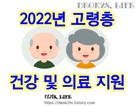 2022년 고령층 건강 및 의료 지원