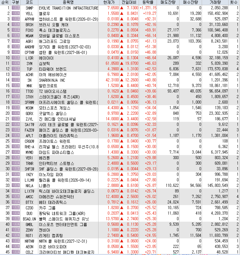  7월31일 미국주식 상승률 상위 종목 TOP 300