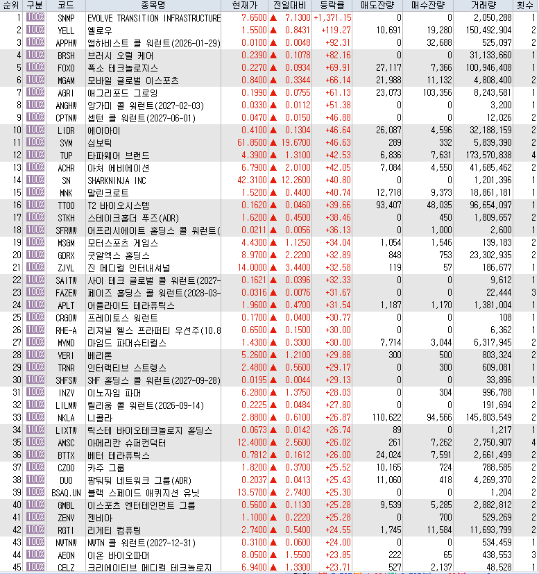 7월31일 미국주식 상승률 상위 종목 TOP 300