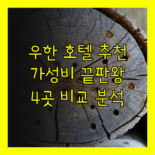 가성비 우한 호텔 4곳 꼼꼼하게 비교
