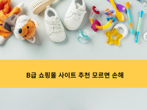 B급 쇼핑몰 사이트 추천 모르면 손해