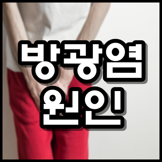  방광염 원인